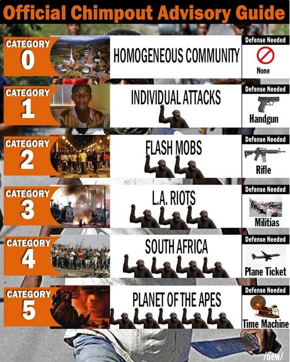 CATEGORY LA, RIOTS 3 ea CATEGORY Official Chimpout Advisory Guide ...
