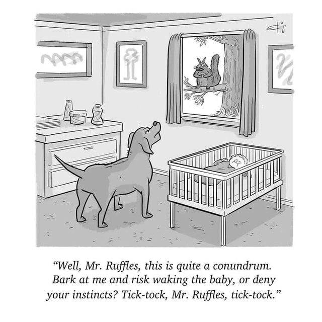 Mister Ruffles