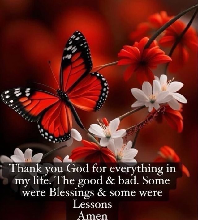 Ale Thank you God for everything in my life. The good & bad. Some were ...