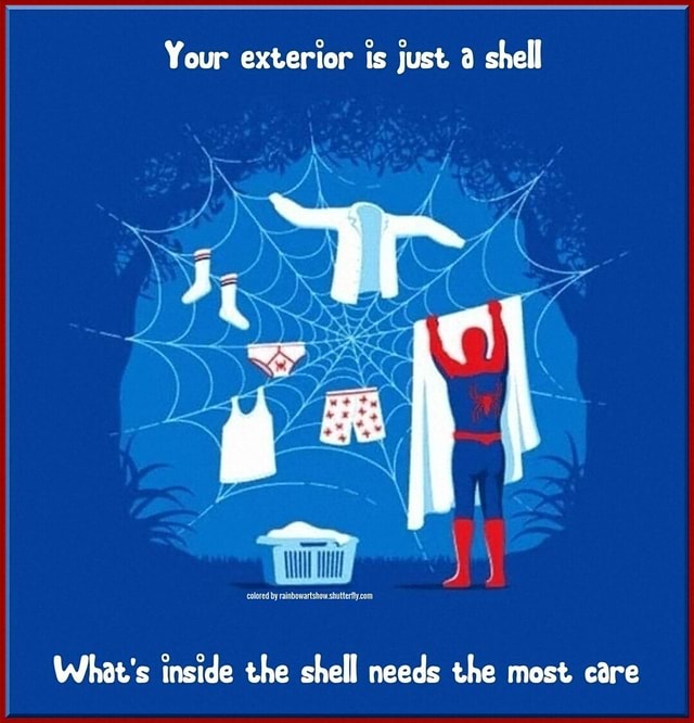 Shell Needs Your exterior is just shell ff What's inside the shell needs the most ...