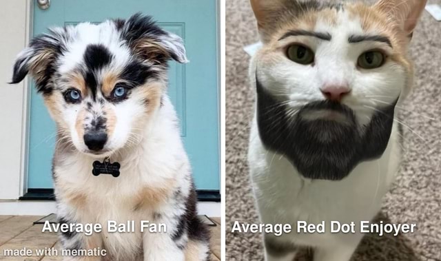 Average Red Dot Enjoyer Average e Ball Fan vera mace with NE - America ...