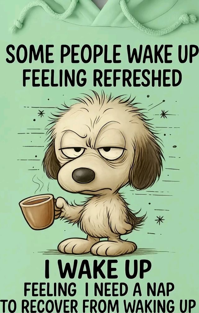 SOME PEOPLE WAKE UP FEELING REFRESHED I WAKE UP FEELING I NEED A NAP TO ...