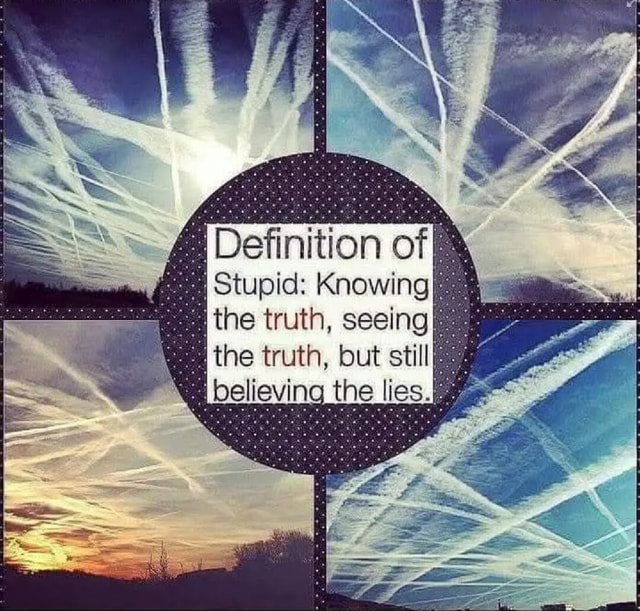 Definition of Stupid: Knowing the truth, seeing the truth, but still ...