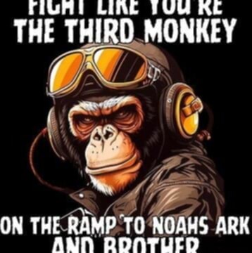 LINE RE THE THIRD MONKEY ON THE RAMP TO NOAHS ARK ANN RONTUILD ...