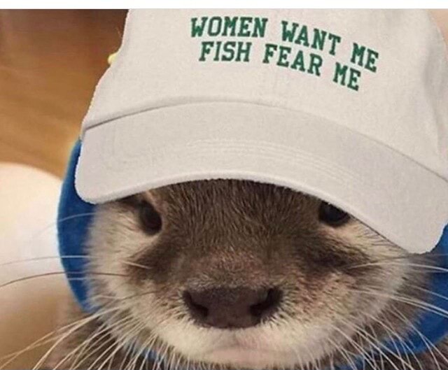 Fish Feay MEN Wany 'FisH FEAy - America’s best pics and videos