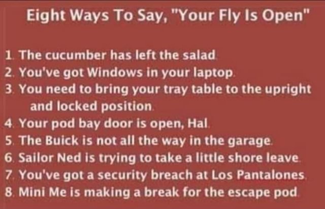 Eight Ways To Say, "Your Fly Is Open" 1 The cucumber has left the salad ...