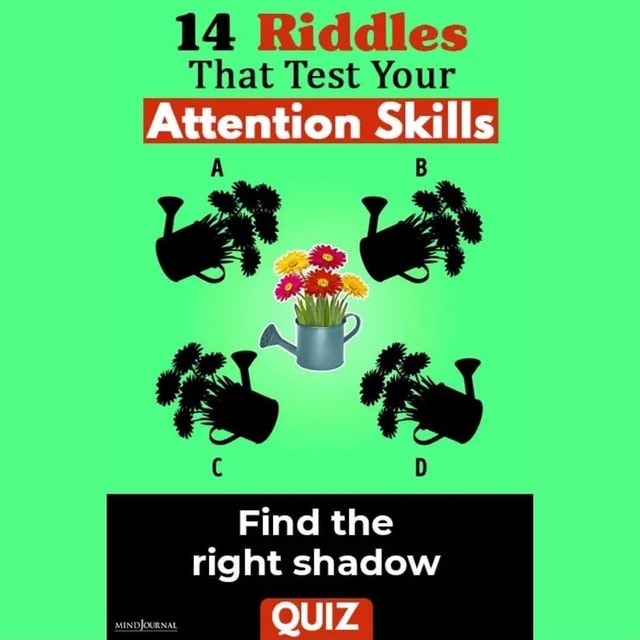 Shadow Riddles 14 Riddles That Test Your Attention Skills Find the right shadow ...
