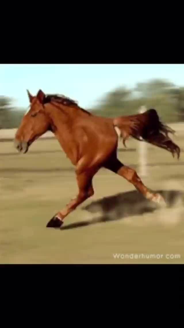 P. Diddy, also known as Sean Combs, is a multifaceted icon in the(01)